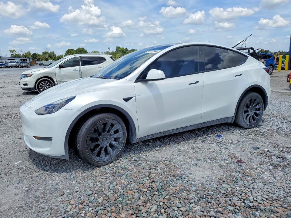 TESLA MODEL Y 2024 with VIN 7SAYGDEE8RA240261 - Photo from auction