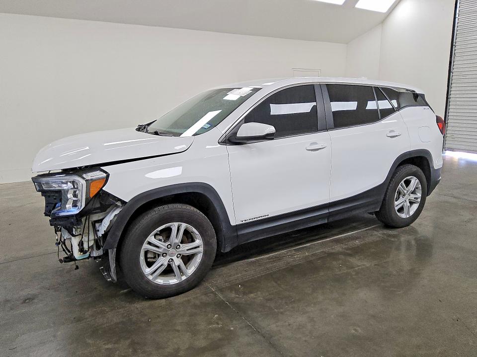 GMC TERRAIN 2024 with VIN 3GKALMEG3RL162489 - Photo from auction