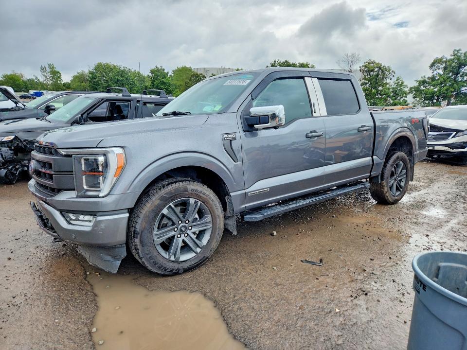 FORD F150 2023 with VIN 1FTFW1ED7PFD14925 - Photo from auction