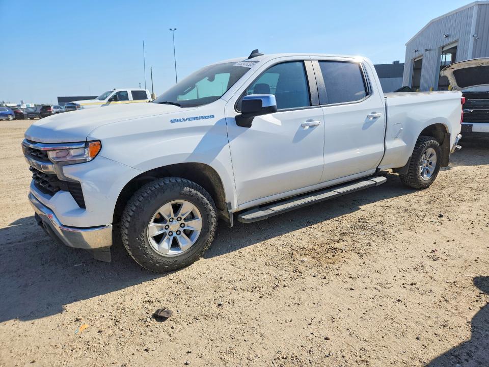 CHEVROLET SILVERADO 2023 with VIN 1GCUDDED2PZ307541 - Photo from auction