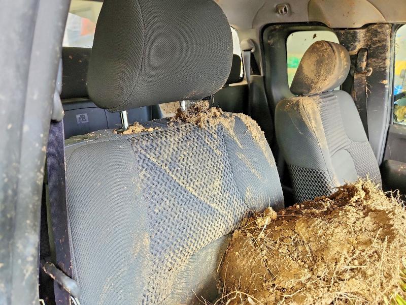 Photo 10 from auction – 2005 NISSAN FRONTIER with VIN 1N6AD06W45C436471