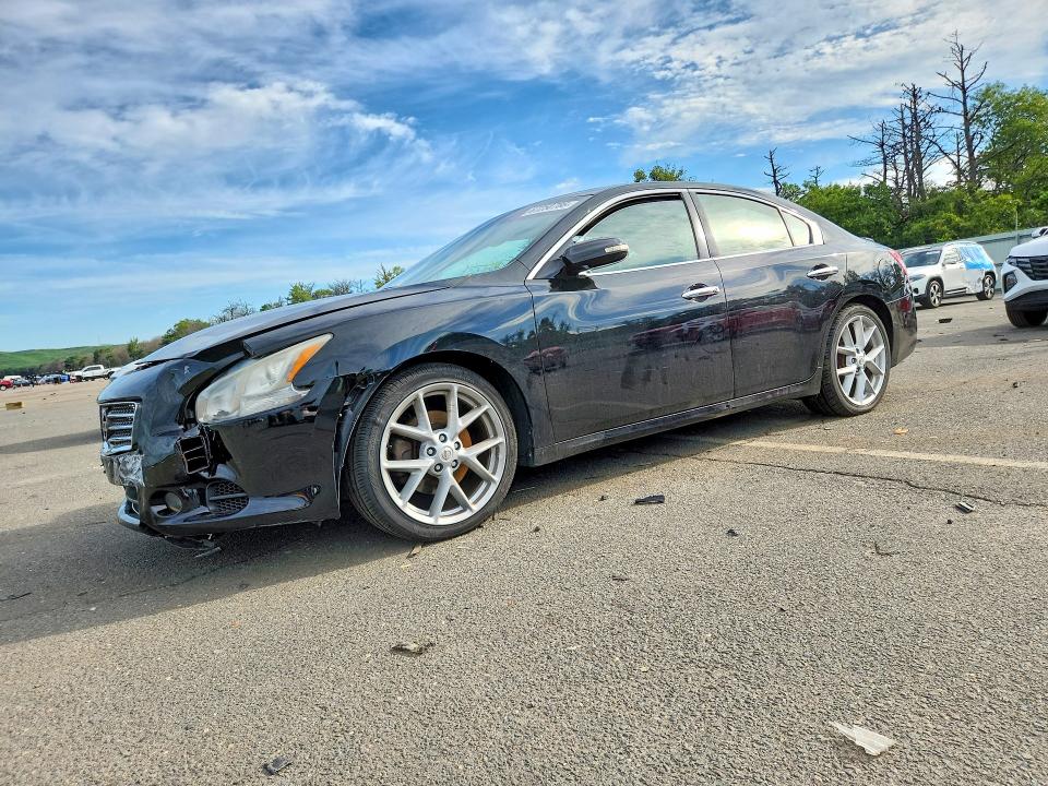 NISSAN MAXIMA 2009 with VIN 1N4AA51E39C815447 - Photo from auction