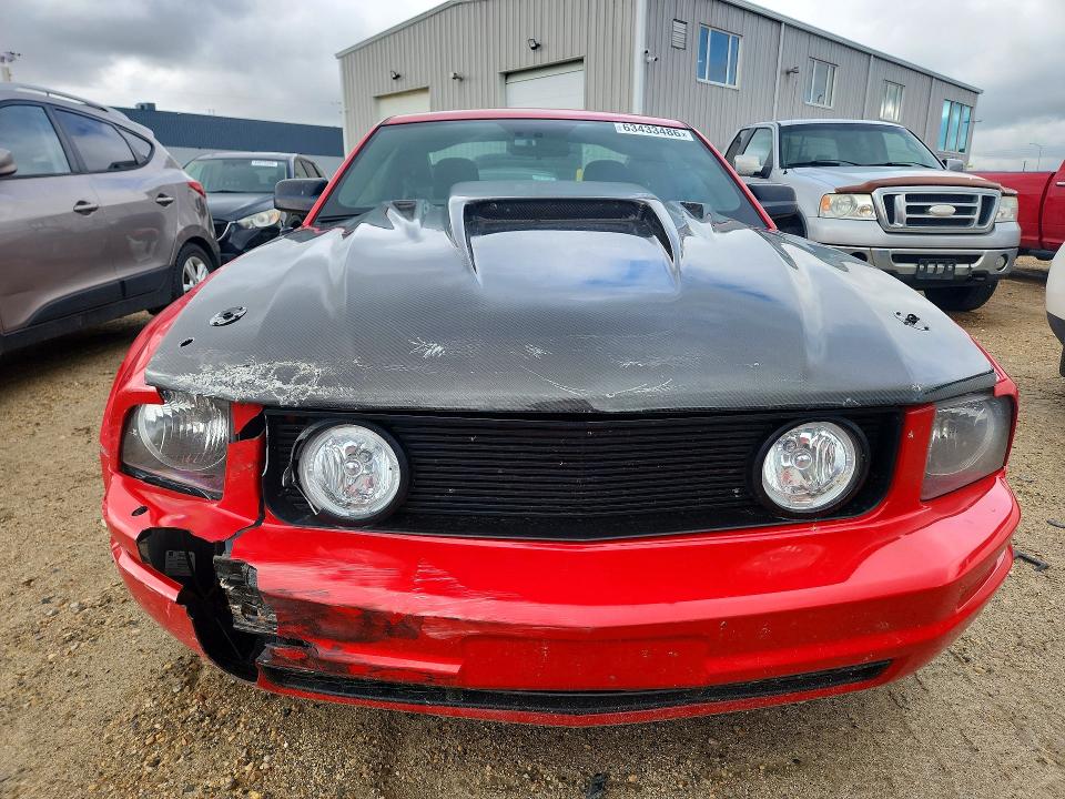 Photo 5 from auction – 2008 FORD MUSTANG with VIN 1ZVHT80N685148010
