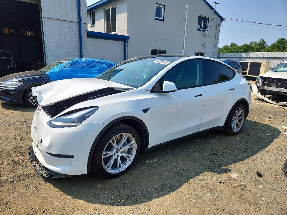 TESLA MODEL Y 2023 with VIN 7SAYGDEE4PF664407 - Photo from auction