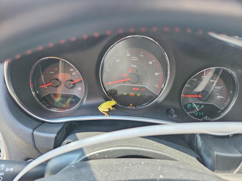 Zdjęcie 9 z aukcji – 2012 DODGE AVENGER z VIN 1C3CDZBG8CN137702