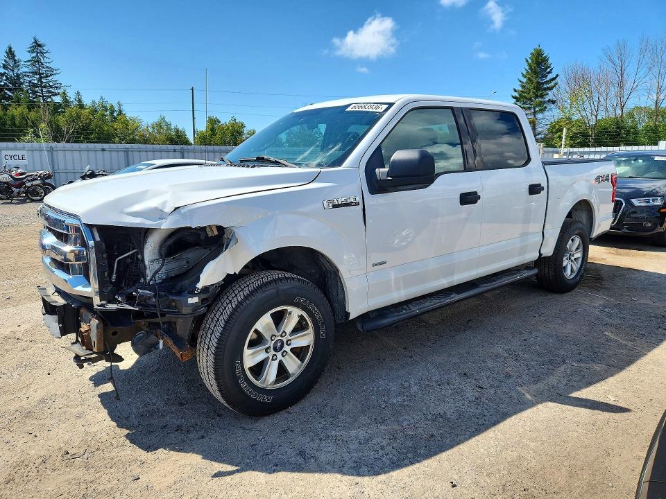 FORD F150 2016 z numerem VIN 1FTEW1EG9GFD43574 - Zdjęcie z aukcji