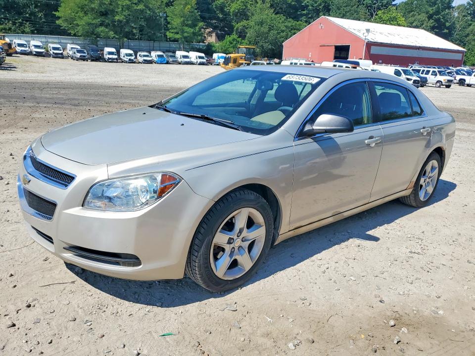 CHEVROLET MALIBU 2010 with VIN 1G1ZB5EB1AF244532 - Photo from auction