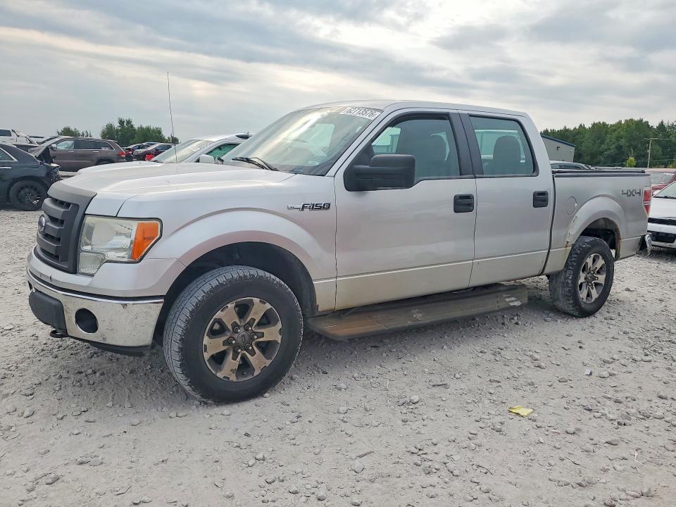 FORD F150 2010 with VIN 1FTEW1E87AFB30185 - Photo from auction