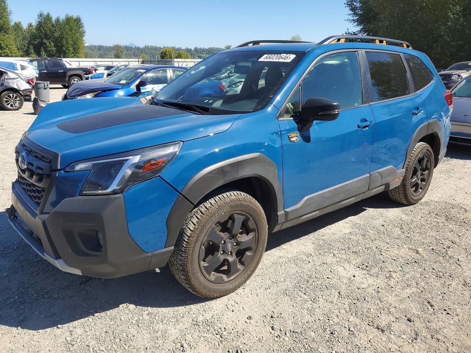 SUBARU FORESTER 2024 with VIN JF2SKAJCXRH527562 - Photo from auction