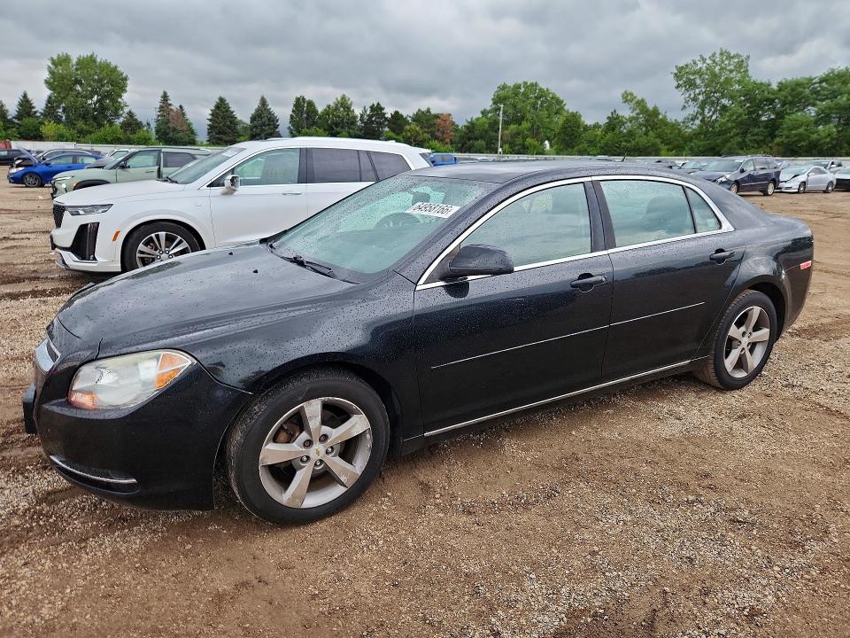 CHEVROLET MALIBU 2011 with VIN 1G1ZC5E15BF302843 - Photo from auction
