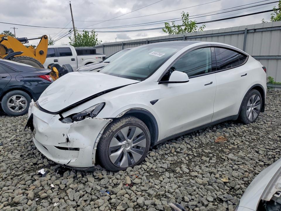 TESLA MODEL Y 2023 with VIN 7SAYGDEE1PA114157 - Photo from auction