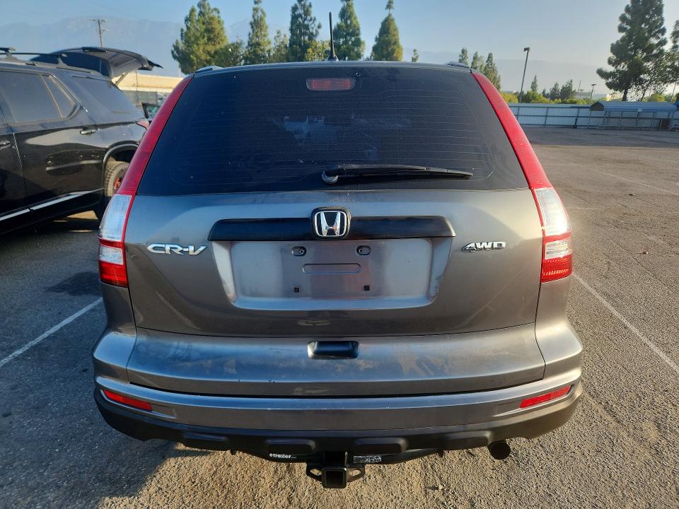 Photo 6 from auction – 2010 HONDA CR-V with VIN JHLRE4H30AC015017