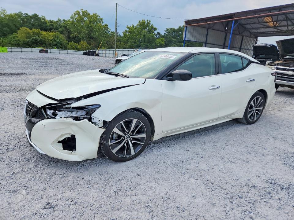 NISSAN MAXIMA 2020 with VIN 1N4AA6BV2LC385244 - Photo from auction