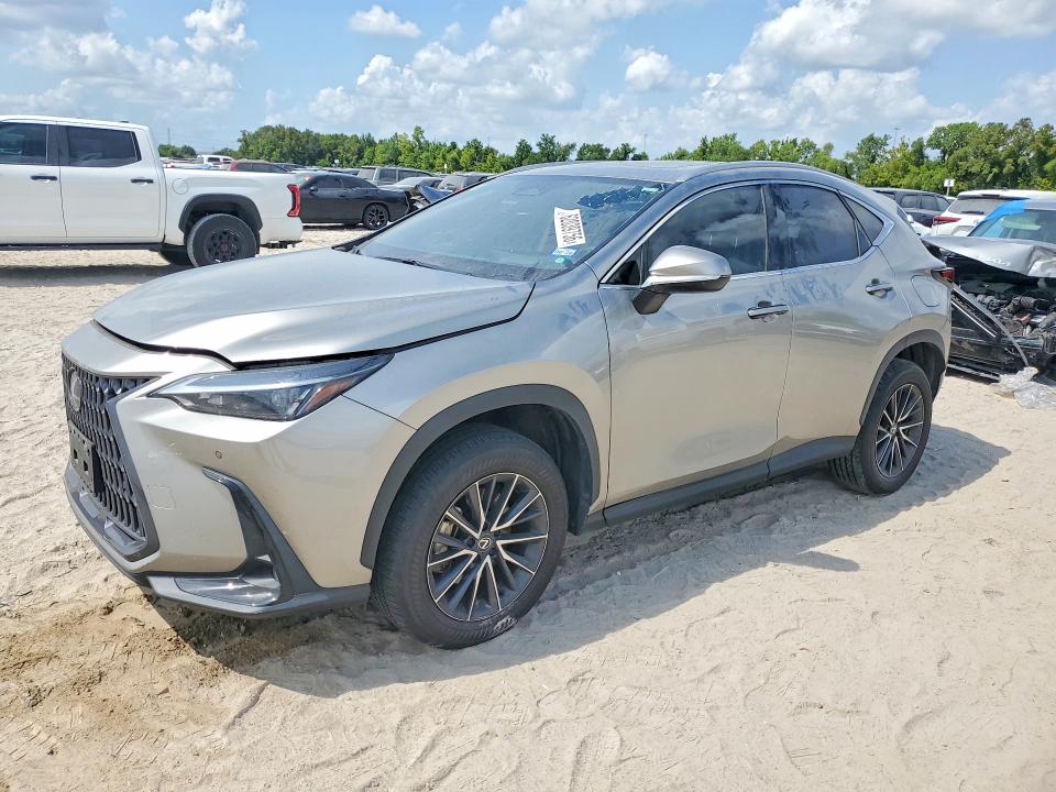 2024 LEXUS NX - Търг №62039756