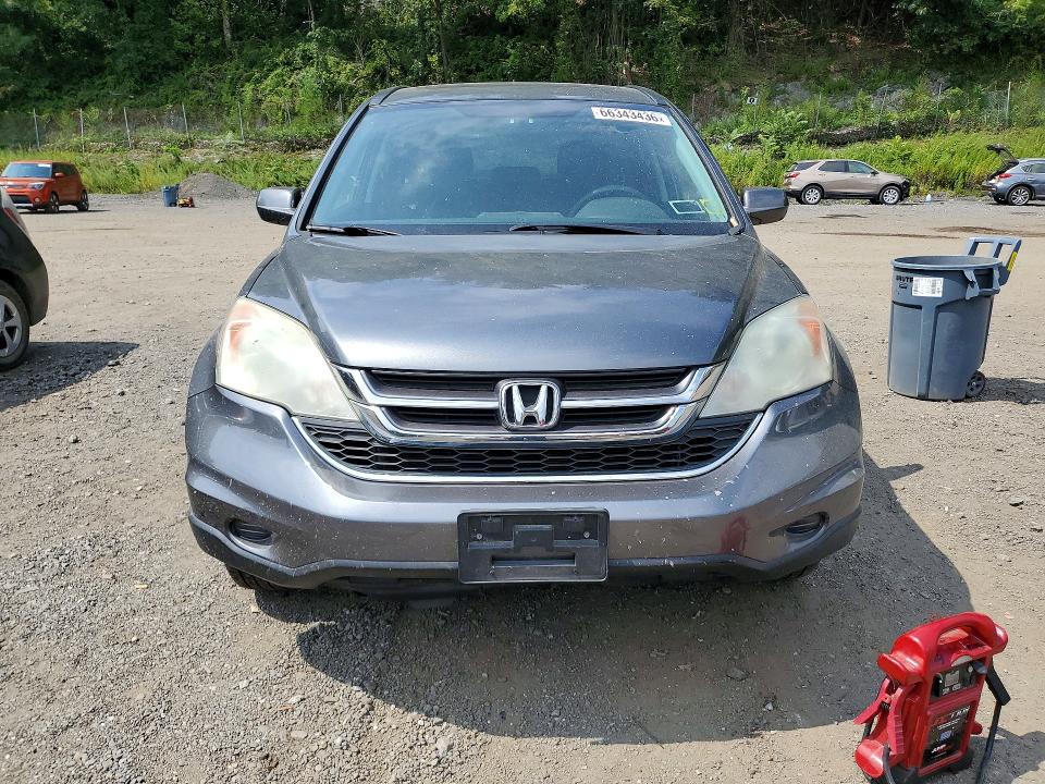 Photo 5 from auction – 2010 HONDA CR-V with VIN 5J6RE4H76AL064037