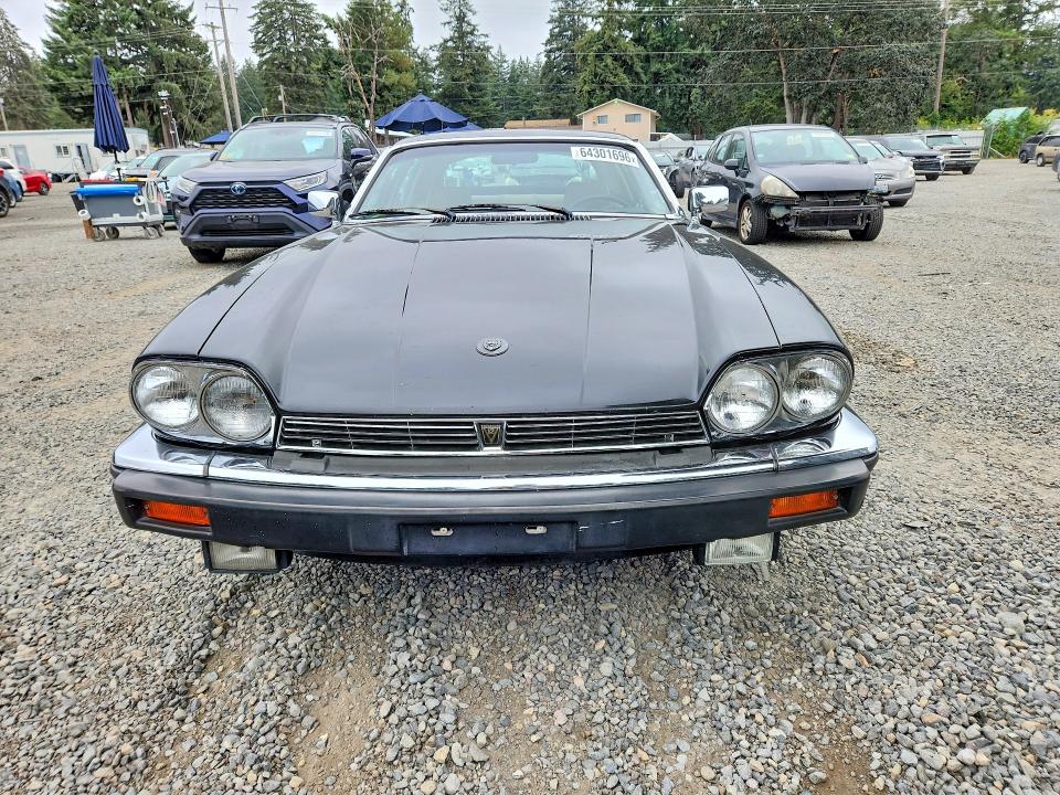Zdjęcie 5 z aukcji – 1983 JAGUAR XJS z VIN SAJNV584XDC110152