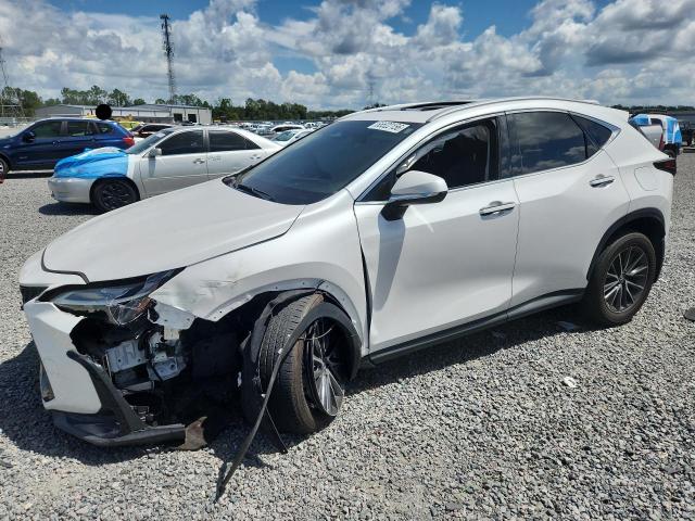2024 LEXUS NX - Търг №65522156