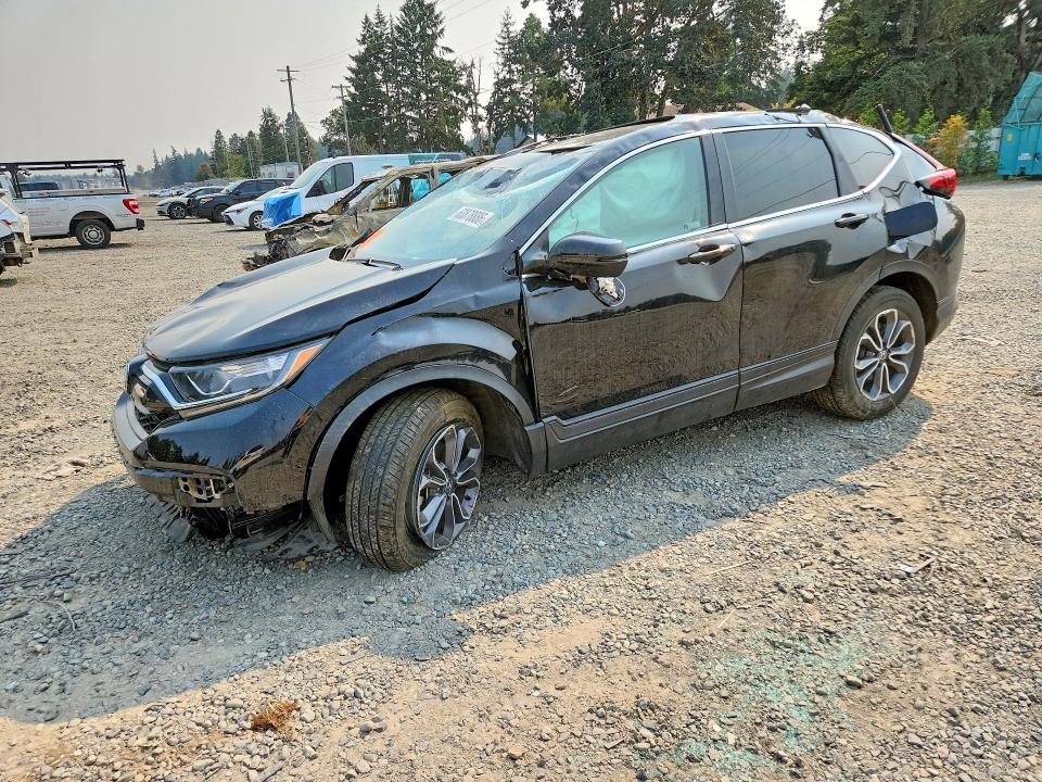 HONDA CR-V 2022 with VIN 7FARW2H89NE056494 - Photo from auction