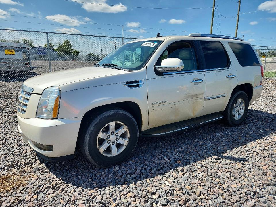 CADILLAC ESCALADE 2010 with VIN 1GYUKBEF7AR212177 - Photo from auction