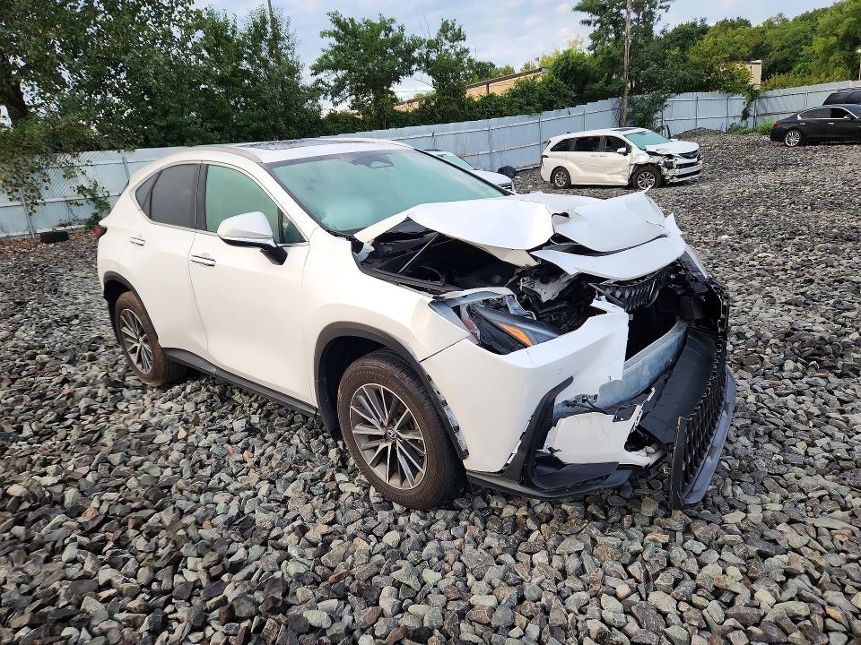 Снимка 4 от търг – 2025 LEXUS NX 250 с VIN 2T2ADCEZ9SC005509