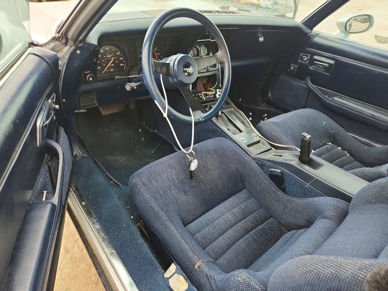 Photo 8 from auction – 1981 CHEVROLET CORVETTE with VIN 1G1AY8768BS431563