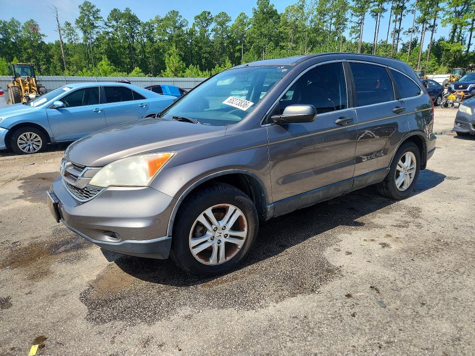 HONDA CR-V 2010 with VIN 5J6RE4H58AL048419 - Photo from auction