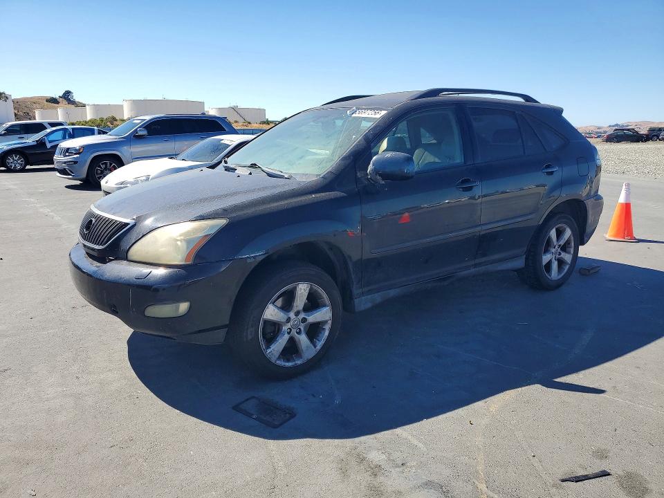 LEXUS RX 2004 with VIN JTJGA31U640004247 - Photo from auction