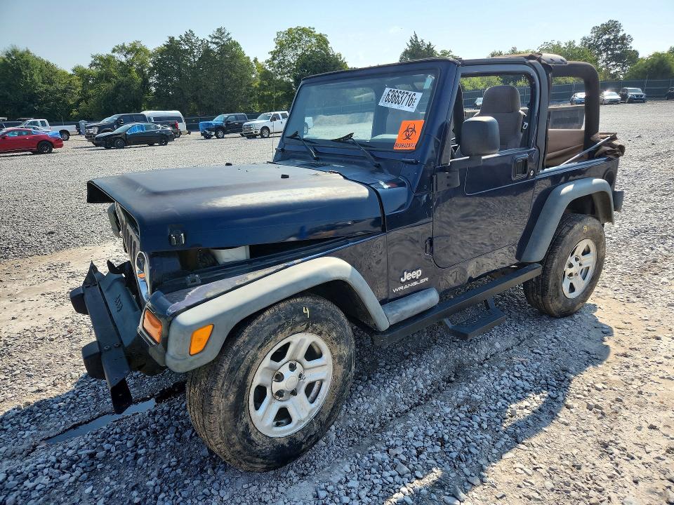 JEEP WRANGLER / TJ 2003 with VIN 1J4FA29113P334977 - Photo from auction