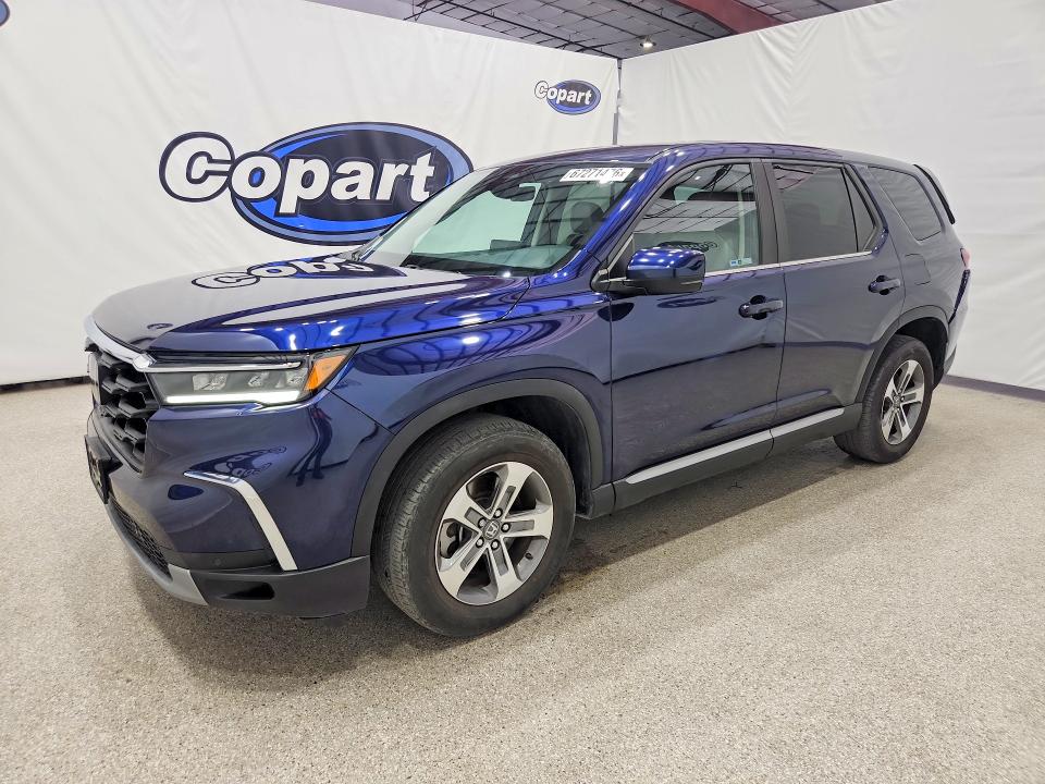 HONDA PILOT 2024 with VIN 5FNYG2H56RB004465 - Photo from auction