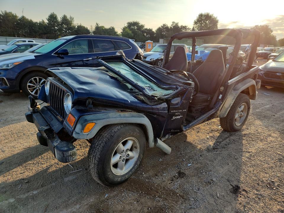 JEEP WRANGLER / TJ 2000 with VIN 1J4FA49S2YP758633 - Photo from auction