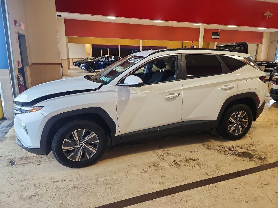 HYUNDAI TUCSON 2024 с VIN KM8JBCD10RU178074 - Снимка от търг