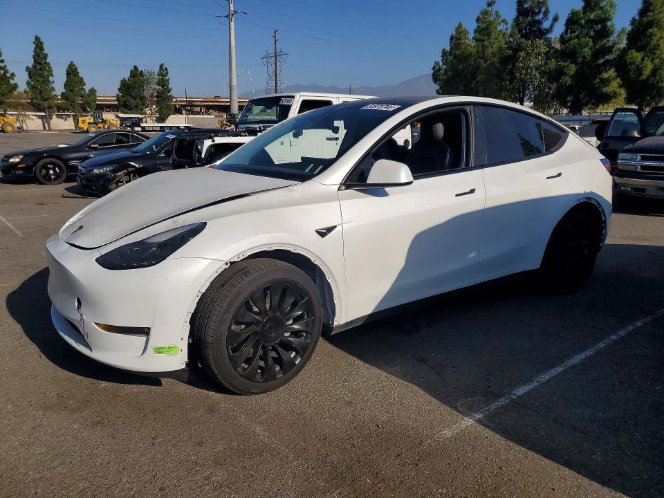 TESLA MODEL Y 2023 with VIN 7SAYGDEE3PF839052 - Photo from auction