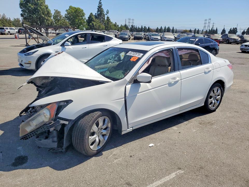 2010 HONDA ACCORD - Търг №66732876