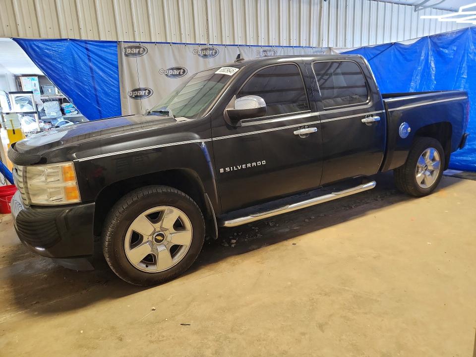 CHEVROLET SILVERADO 2009 with VIN 3GCEC23J39G145006 - Photo from auction