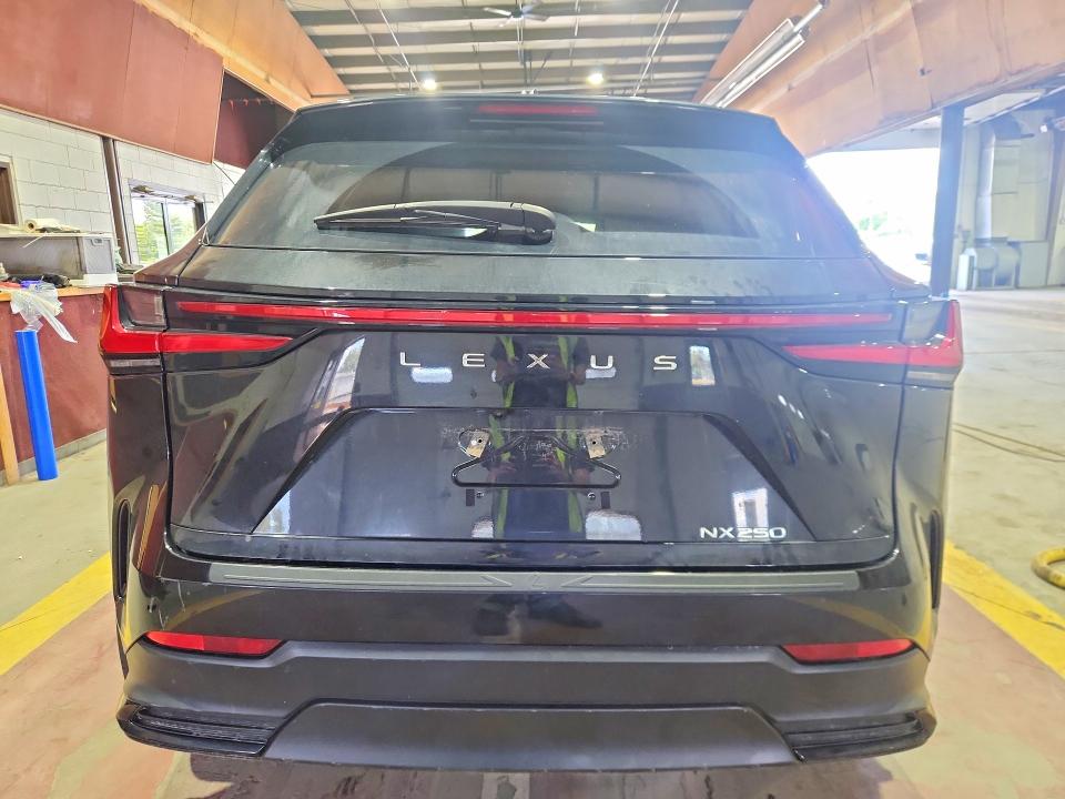 Photo 6 from auction – 2024 LEXUS NX 250 with VIN 2T2ADCAZ5RC009847