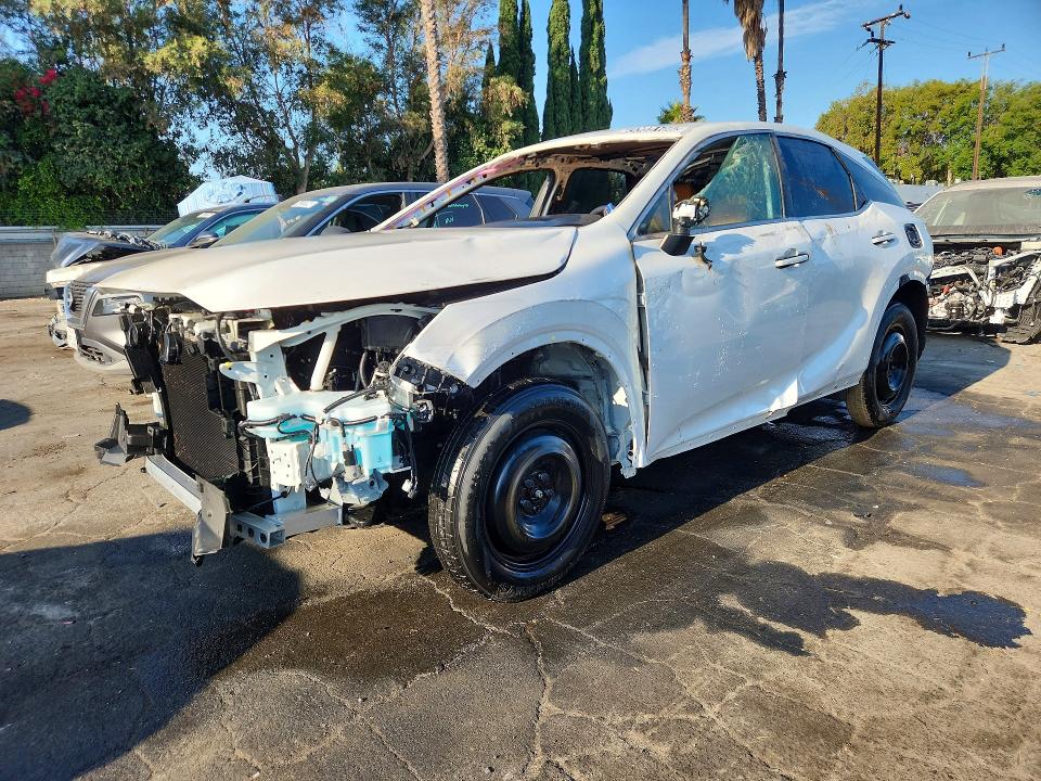 2025 LEXUS RX 350