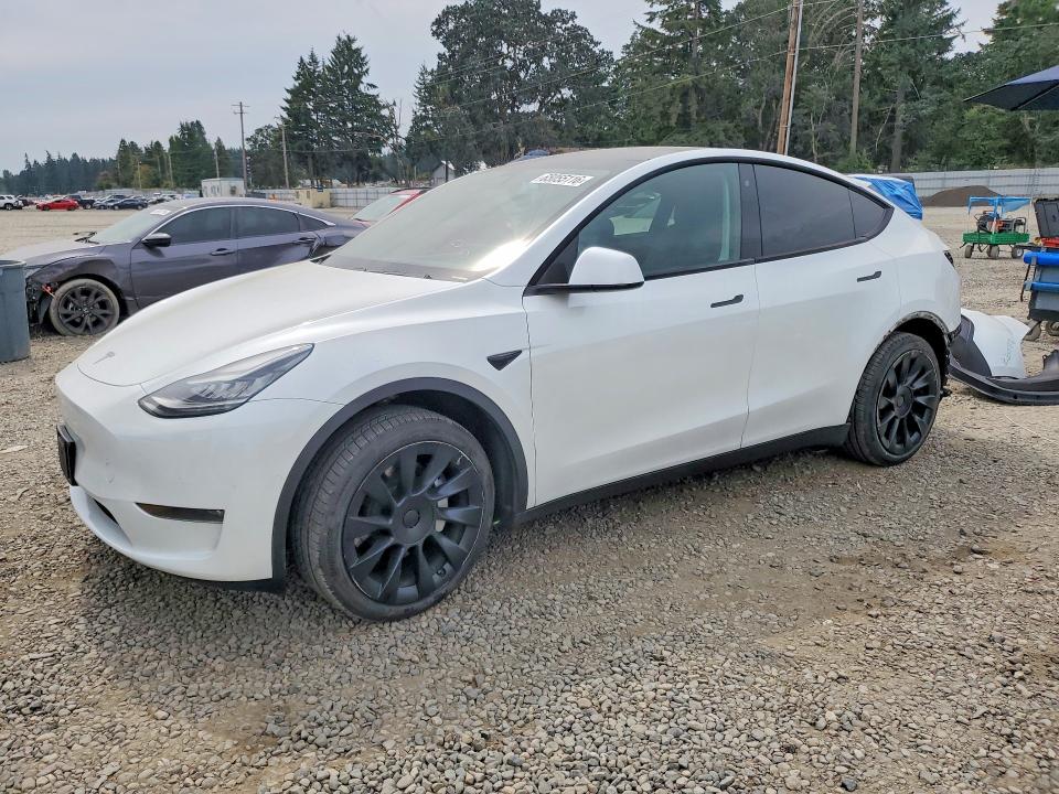 TESLA MODEL Y 2020 with VIN 5YJYGDEE8LF020237 - Photo from auction