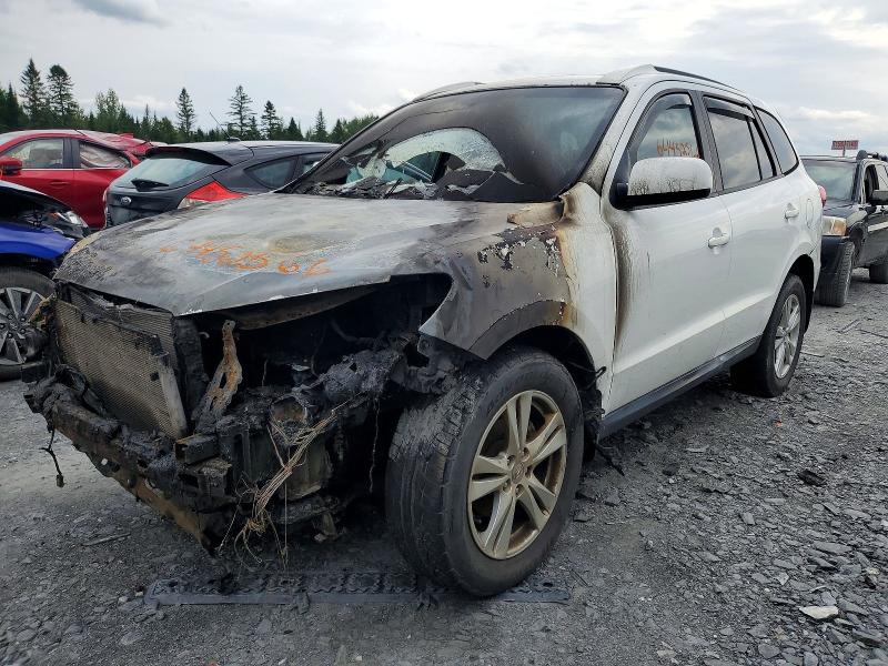 2010 HYUNDAI SANTA FE - Търг №64452566
