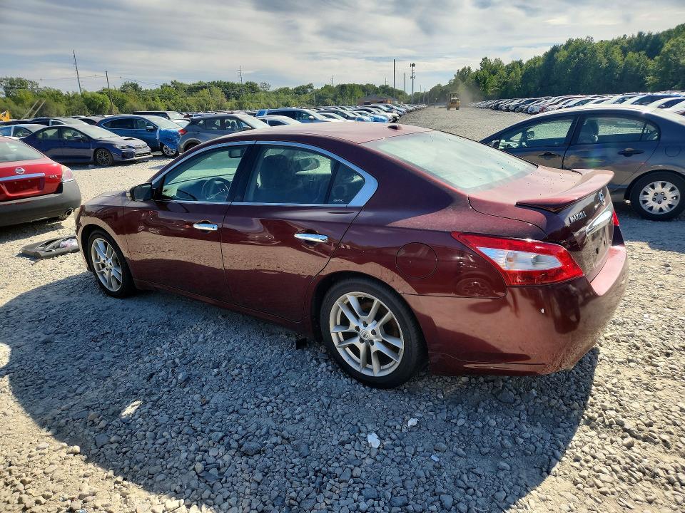 Photo 2 from auction – 2010 NISSAN MAXIMA with VIN 1N4AA5AP0AC813080