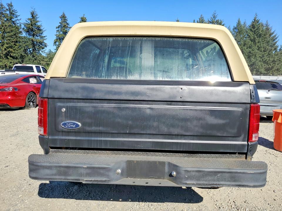 Photo 6 from auction – 1985 FORD BRONCO with VIN 1FMDU15H1FLB02419