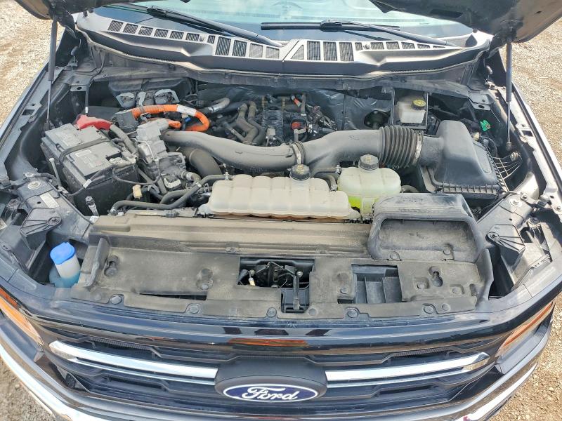 صورة رقم 11 من المزاد - 2024 FORD F150 مع VIN 1FTFW3LD9RFB07809