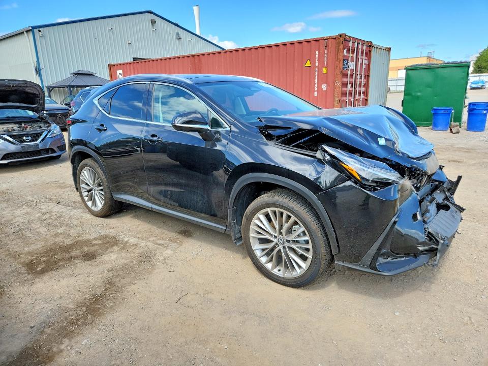 Фото 4 с аукциона – 2025 LEXUS NX с VIN 2T2GGCEZ3SC085245