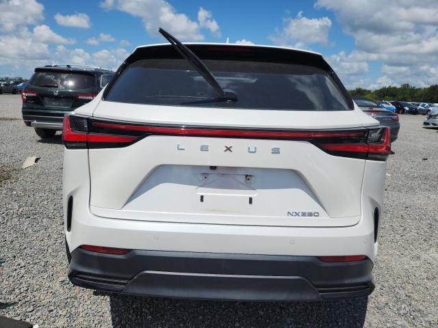 Foto 6 de la subasta – 2024 LEXUS NX con VIN 2T2GDCAZ8RC009061