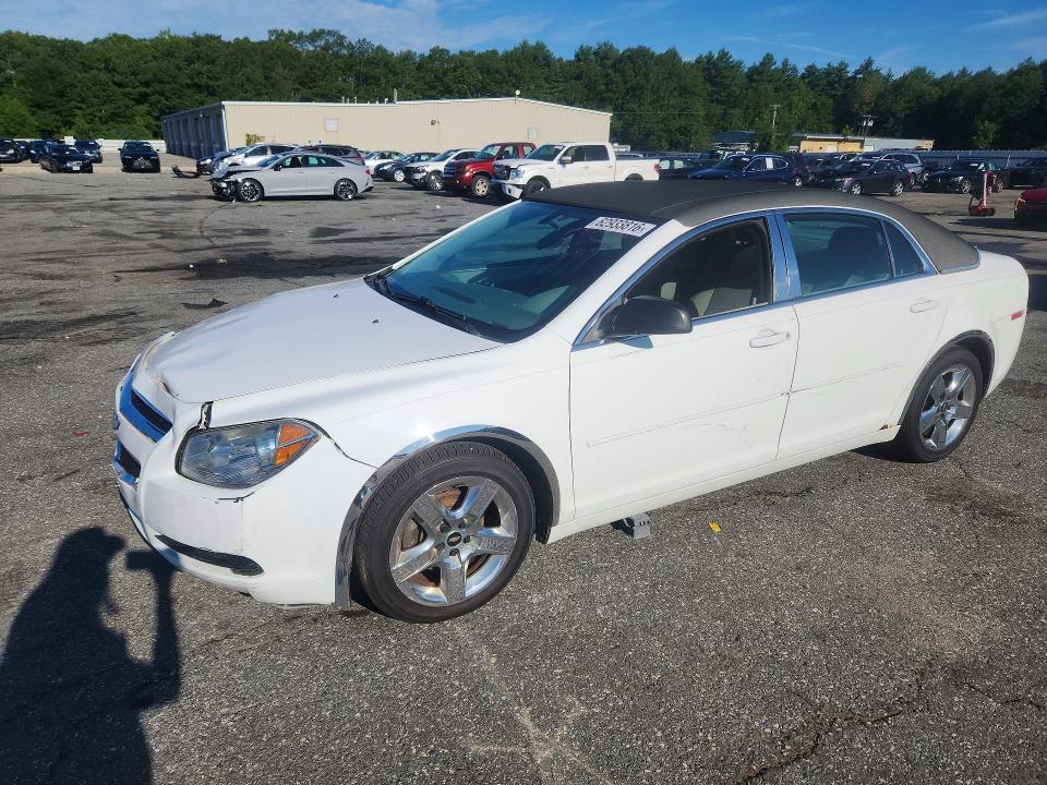 CHEVROLET MALIBU 2011 with VIN 1G1ZA5E1XBF312774 - Photo from auction