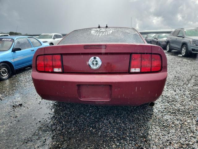 Photo 6 from auction – 2007 FORD MUSTANG with VIN 1ZVFT80N175308784