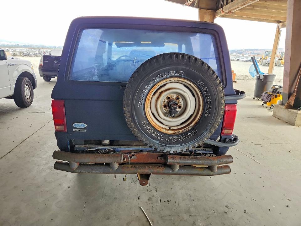 Photo 6 from auction – 1985 FORD BRONCO II with VIN 1FMBU14S1FUC61603