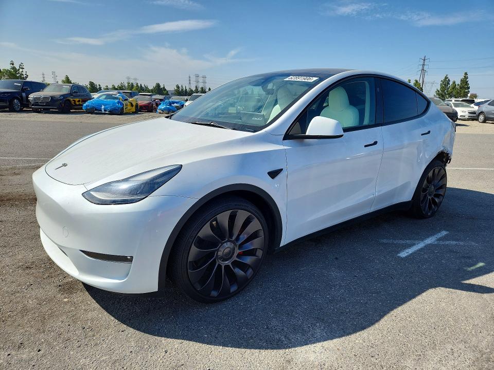 TESLA MODEL Y 2024 with VIN 7SAYGDEF6RF113813 - Photo from auction