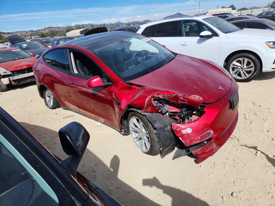 Фото 4 с аукциона – 2024 TESLA MODEL Y с VIN 7SAYGDEE3RF003101