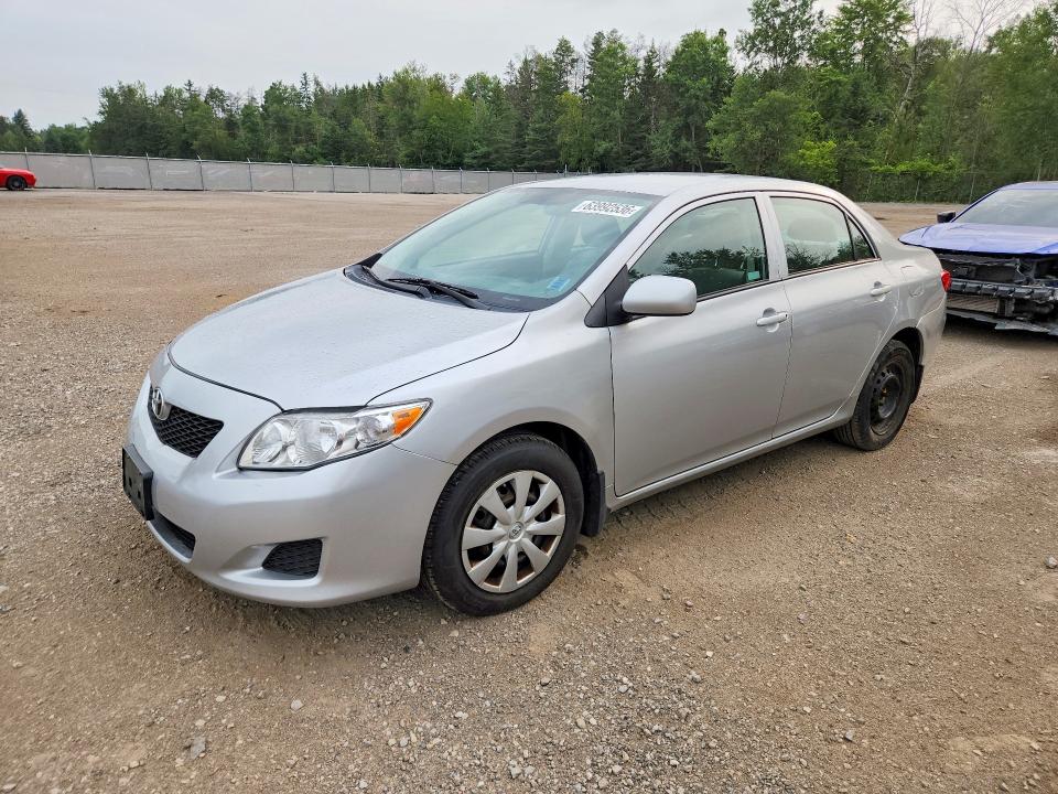 TOYOTA COROLLA 2010 with VIN 2T1BU4EE0AC201901 - Photo from auction