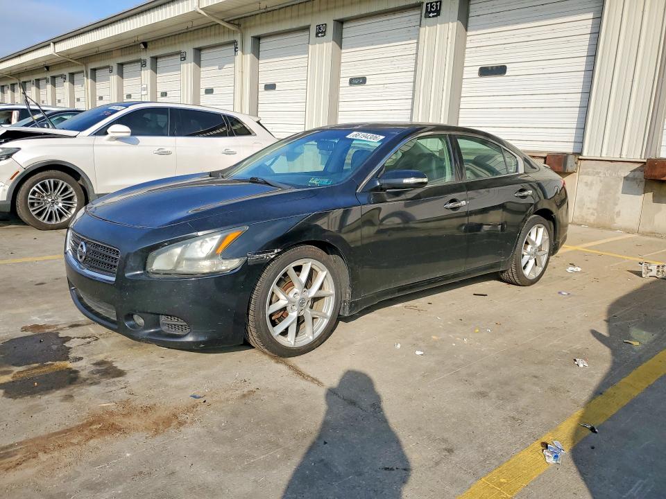 NISSAN MAXIMA 2011 with VIN 1N4AA5AP4BC857259 - Photo from auction
